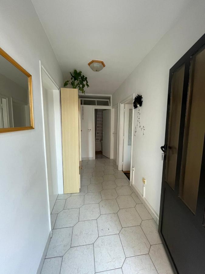Apartman Renata Криквеница Екстериор снимка